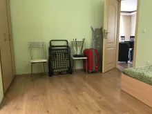 Miniaturka