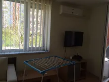 Miniaturka