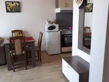 Miniaturka