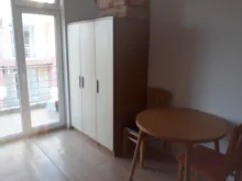 Miniaturka