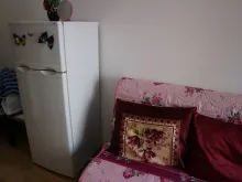 Miniaturka