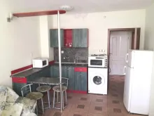 Miniaturka