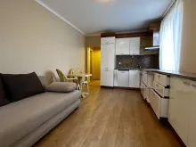 Miniaturka