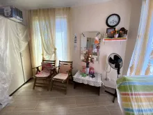 Miniaturka