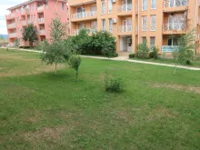 Miniaturka