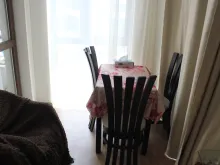 Miniaturka