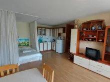 Miniaturka