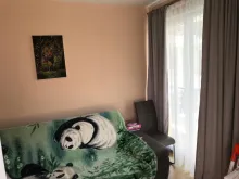Miniaturka