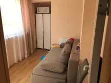 Miniaturka
