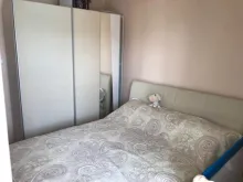 Miniaturka