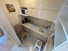 Miniaturka