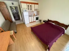 Miniaturka