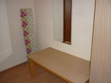 Miniaturka