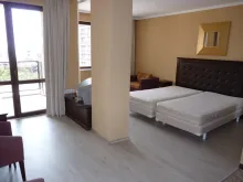 Miniaturka