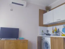 Miniaturka