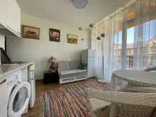Miniaturka