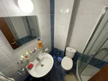 Miniaturka