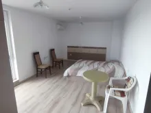 Miniaturka