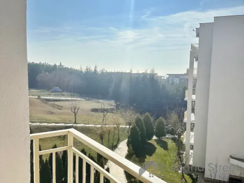вид на лес с террасы