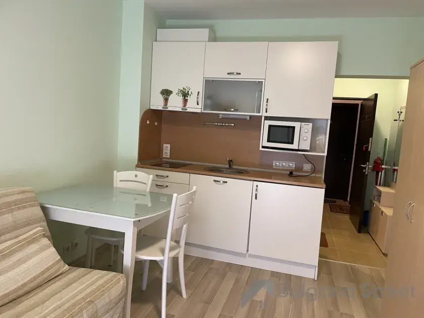 однокомнатная квартира с мебелью