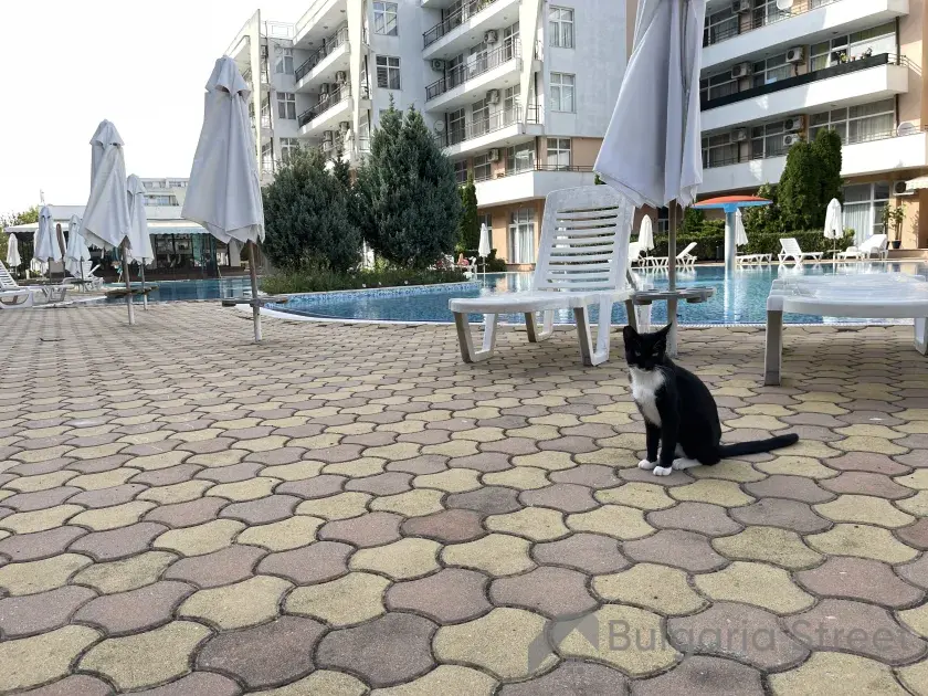 бассейн
