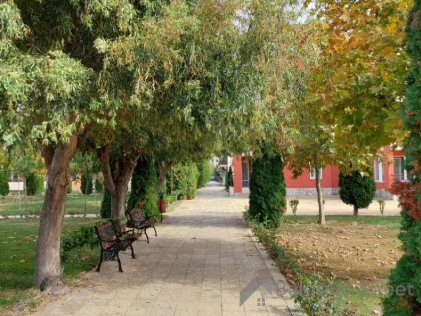 городская растительность