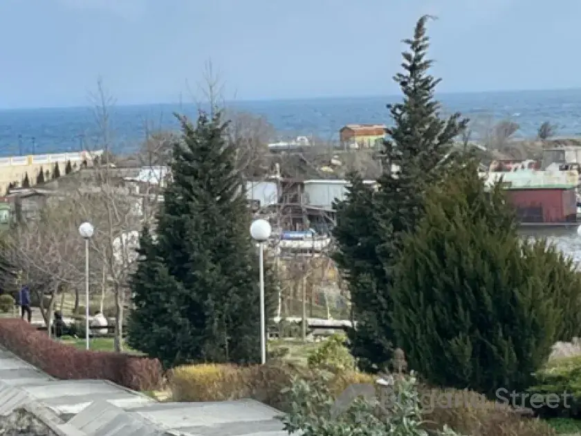 выход в красивый парк