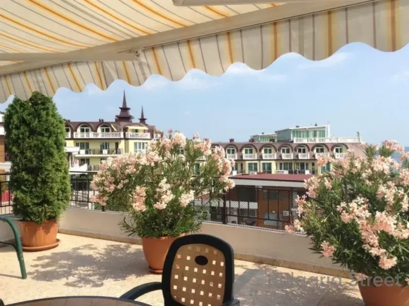 Красивые цветы на террасе