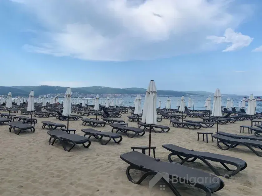 лежаки на пляже курорта Солнечный Берег