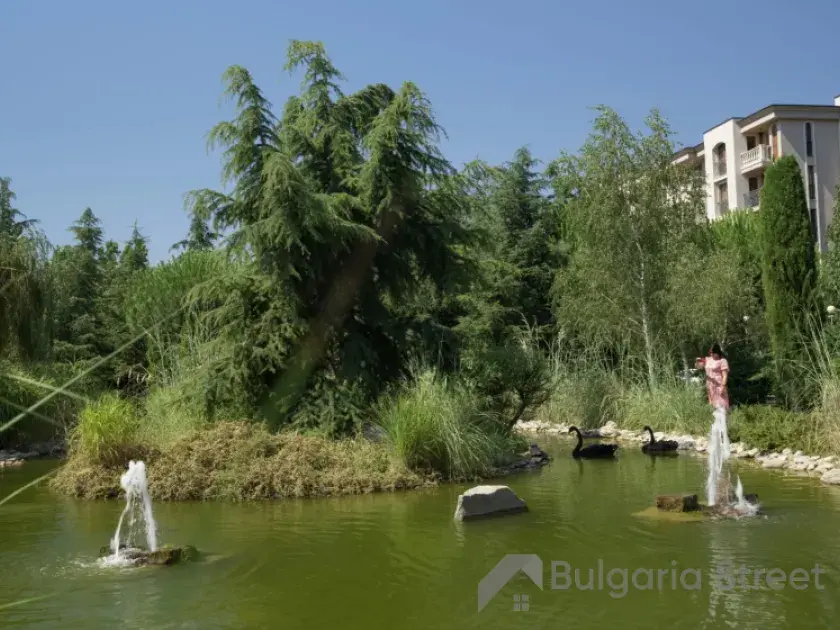 Комплекс, территория