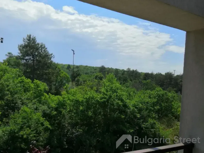 вид на лес из террасы
