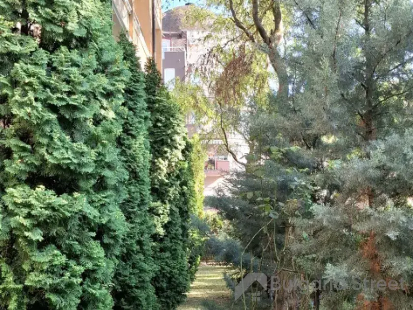 комплекс, территория